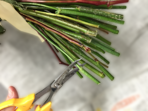 10-4%e3%81%8d%e3%82%8a%e3%82%82%e3%81%a9%e3%81%97